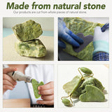 Genuine Jade Roller & Gua Sha Set for Face